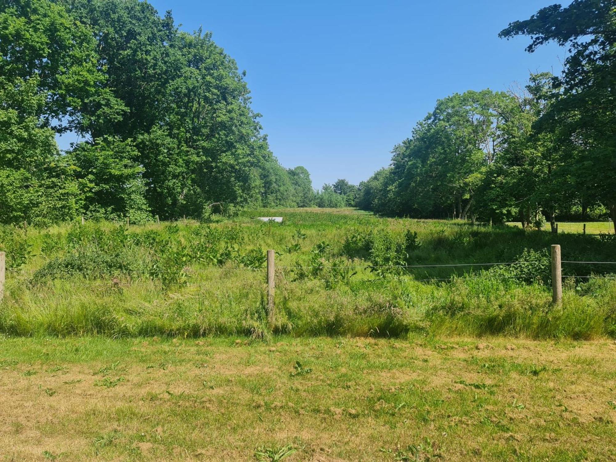 Hus Meeresbrise Arrild Exterior foto